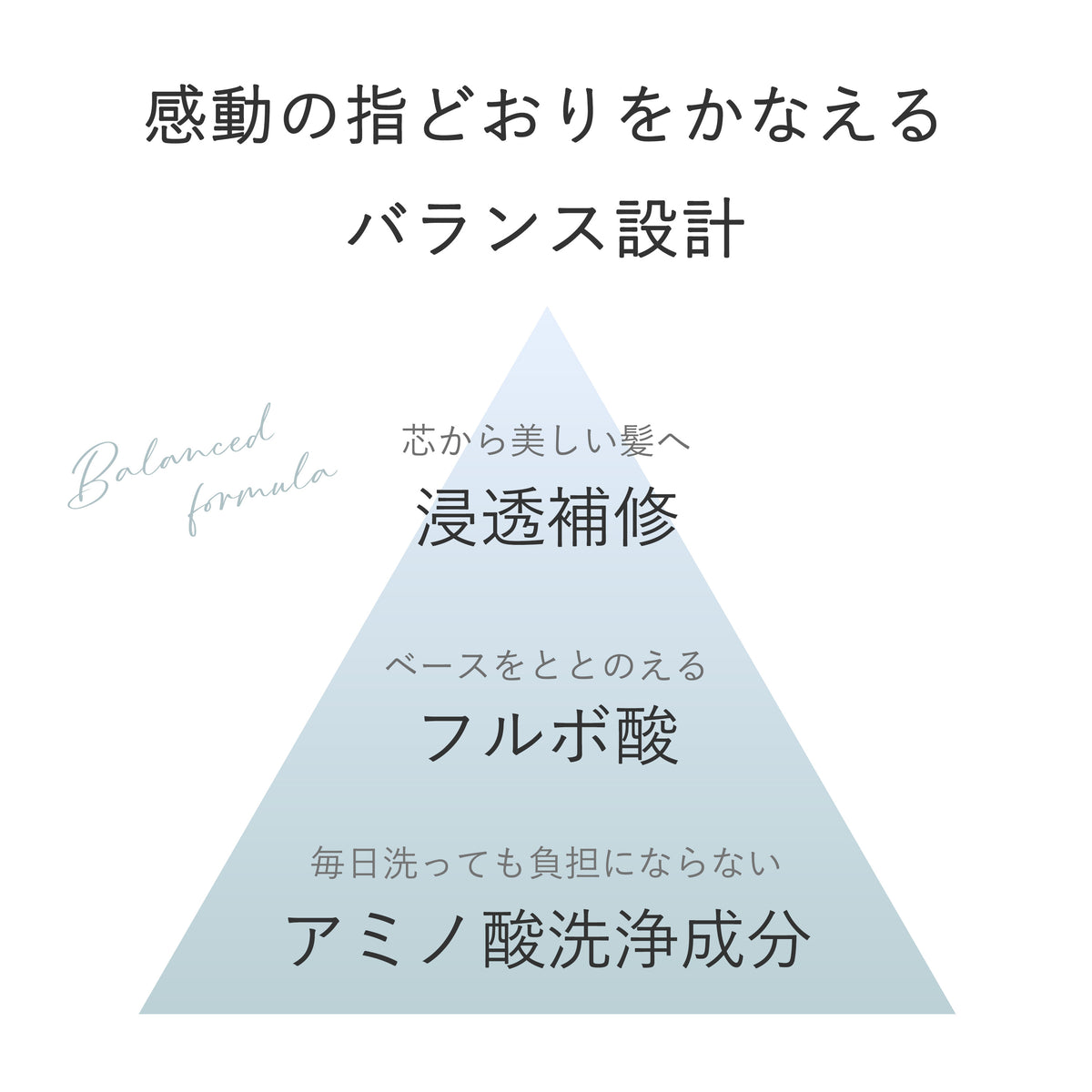 ペイリ エイジングケアシャンプー 300ml