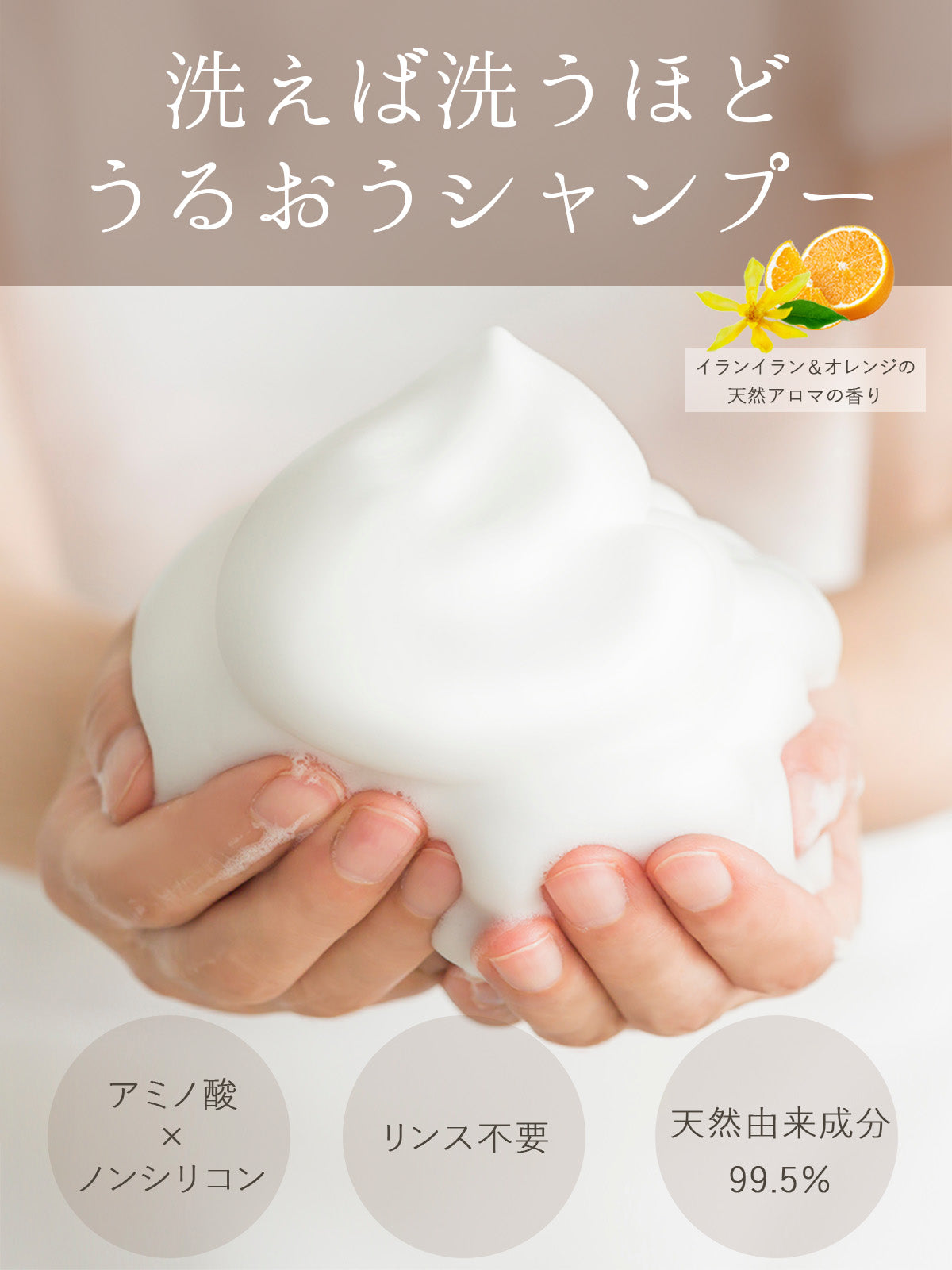 ペイリ エイジングケアシャンプー 300ml