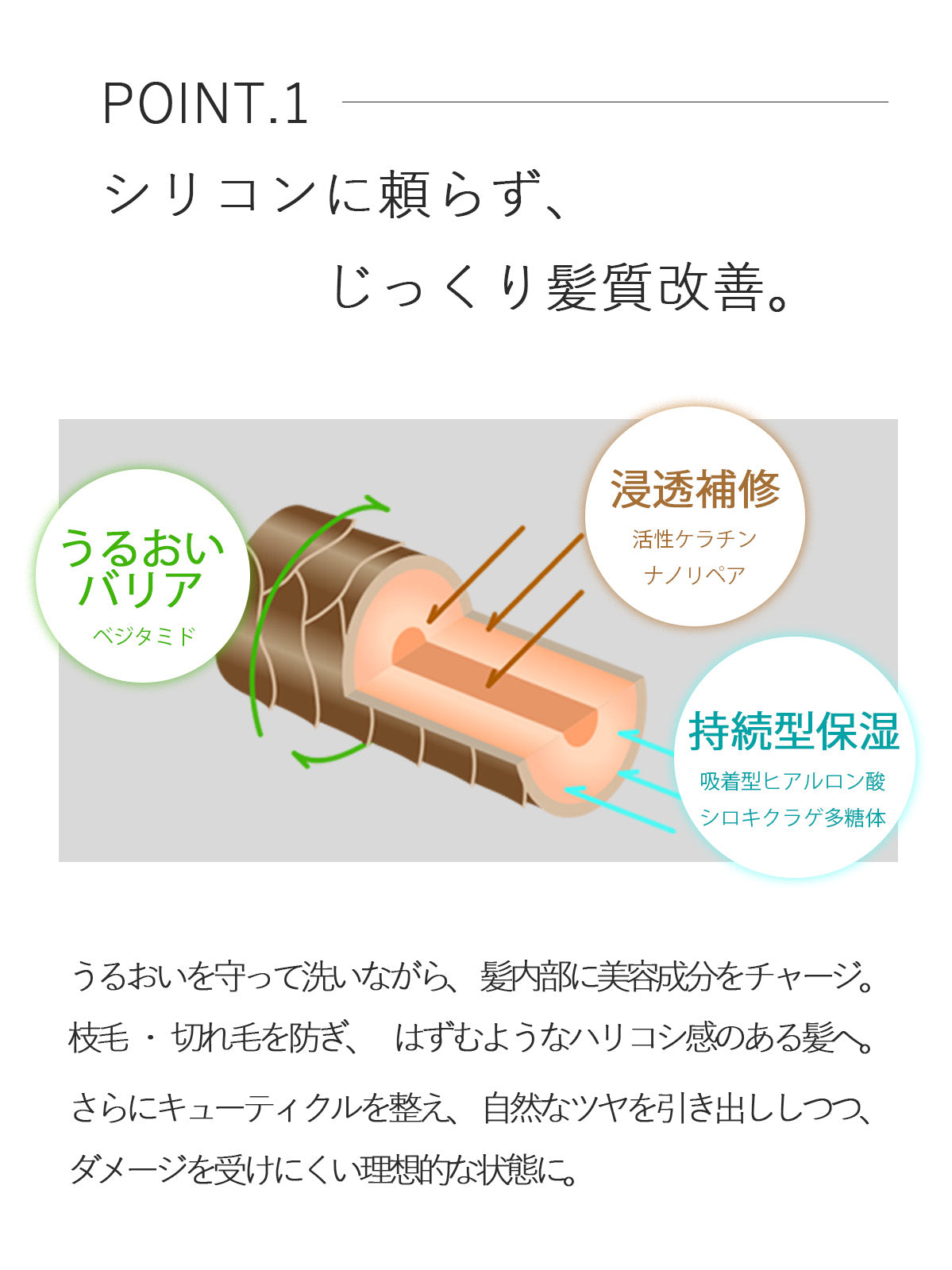 ペイリ エイジングケアシャンプー 300ml