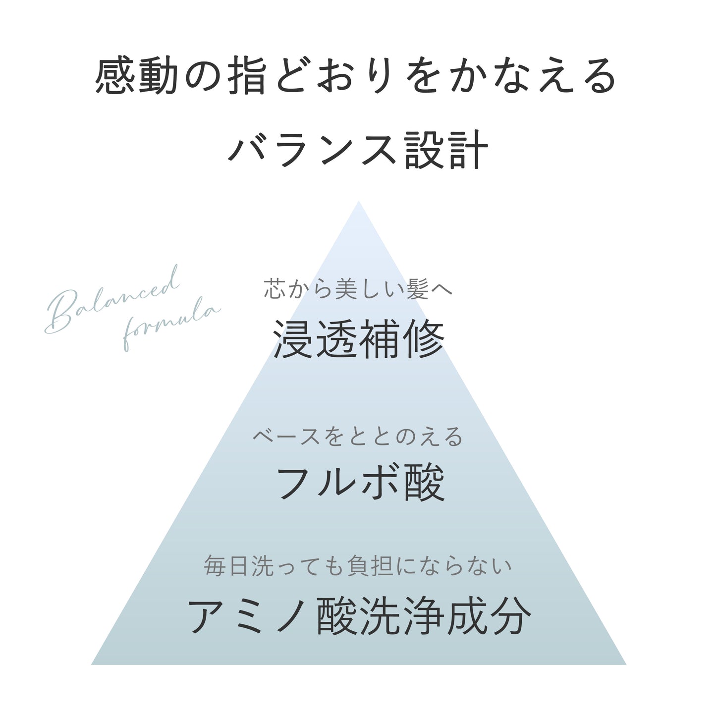 ペイリ エイジングケアシャンプー 300ml