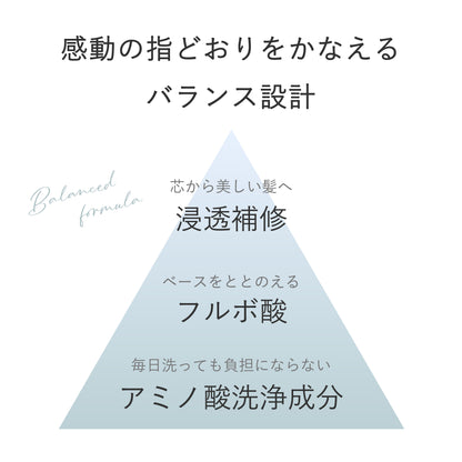 ペイリ エイジングケアシャンプー 300ml