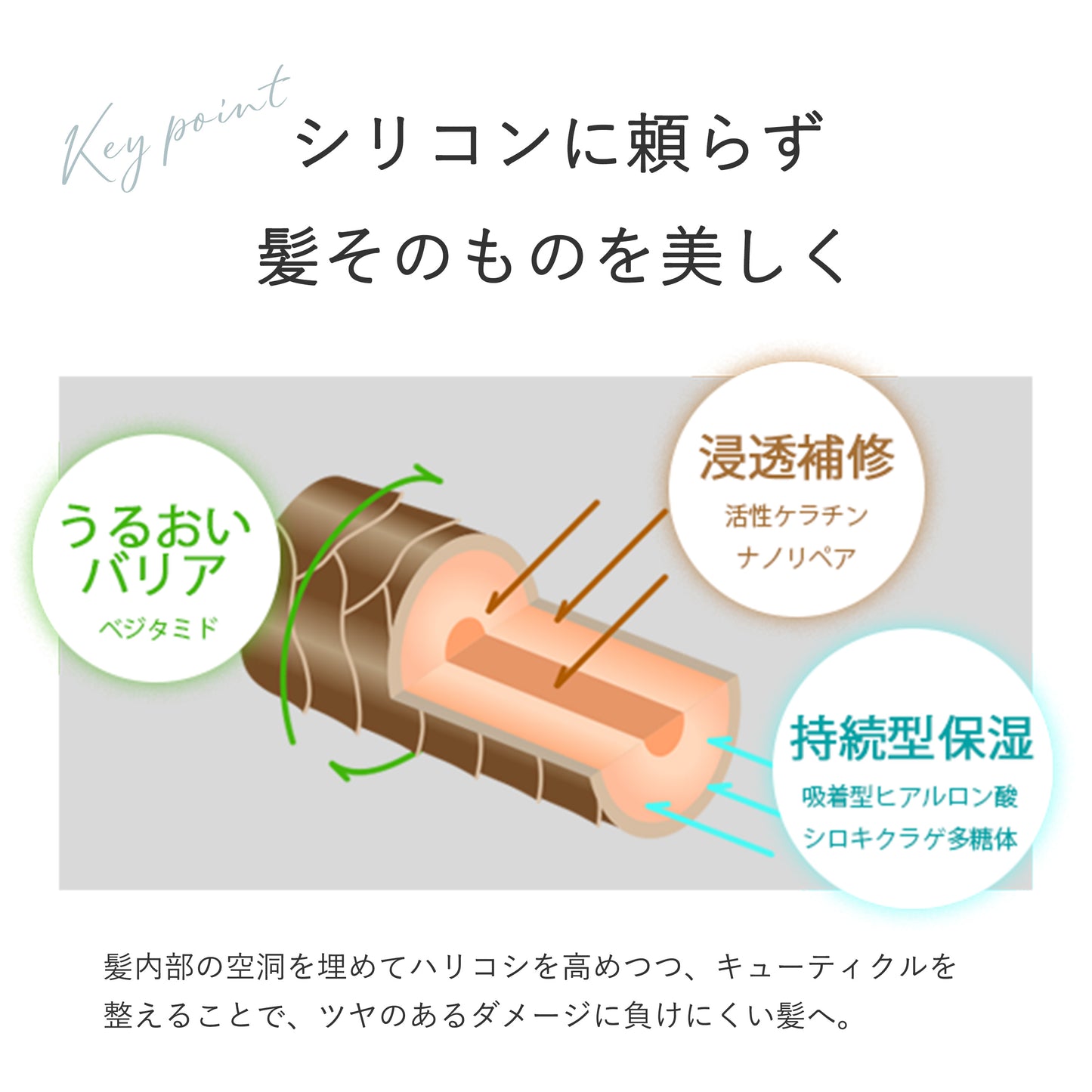 ペイリ エイジングケアシャンプー 300ml