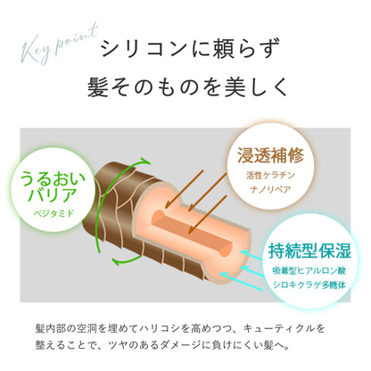 ペイリ エイジングケアシャンプー 300ml