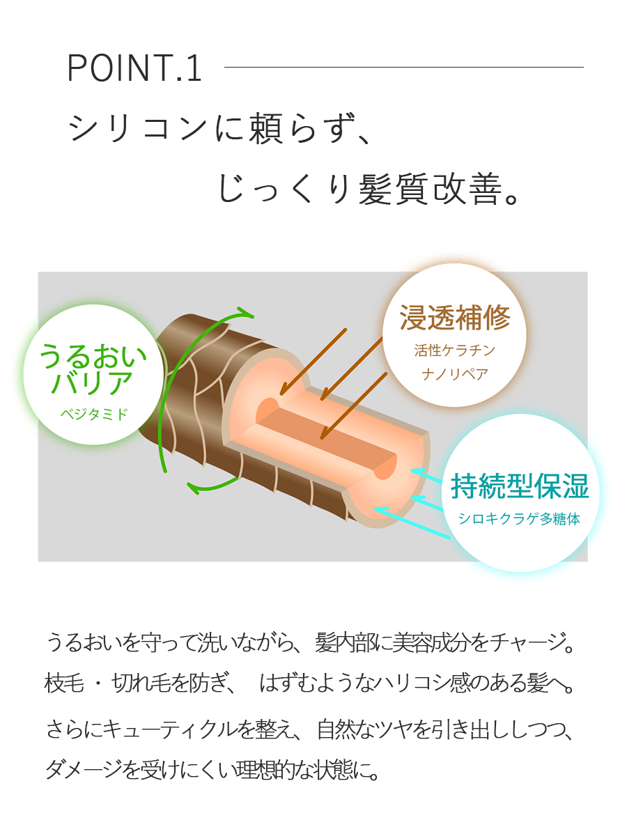 ペイリ エイジングケアシャンプー 300ml